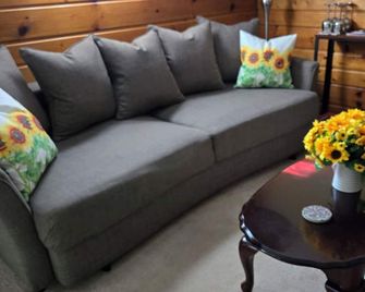Basement apt near skiing and Weber State University - South Ogden - Sala de estar