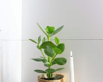 Tourbillon - Sitten - Zimmerausstattung