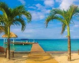 The Green Parrot Fish at King Lewey's Island Resort, Placencia Cayes, Belize - Placencia - Beach