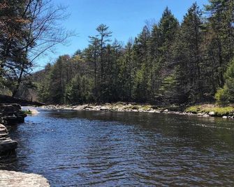 Trails Head Cabin - Rock Hill - Outdoors view