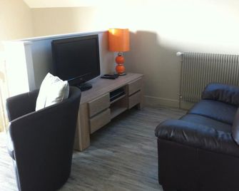 Bourgneuf manor house - Lailly-en-Val - Living room