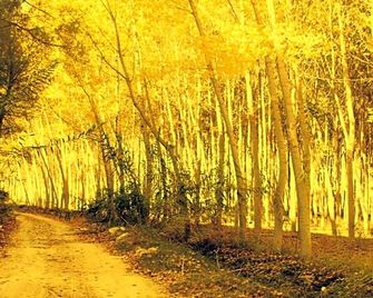 Hotel Bella Hellín - Hellín - Vista del exterior