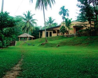 The Wild Spring - Ingiriya - Vista del exterior