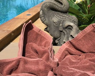 Benjamin's Hut - Ko Pha Ngan - Pool