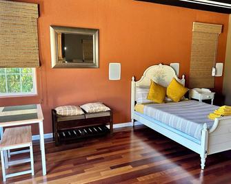 Cozy studio with Kitchenette, WiFi and AC in enchanting San Jose. - San Jose
