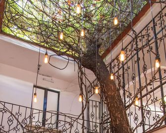 Agrado Guest House - Oaxaca de Juárez - Escaleras