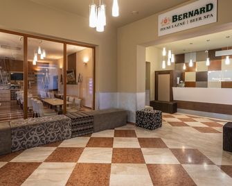 براج سينتر بلازا - براغ - ردهة