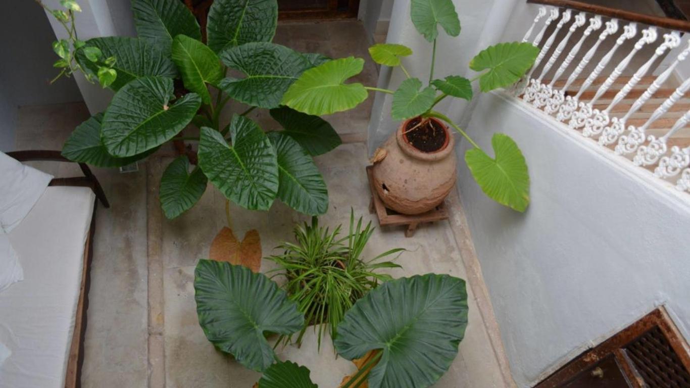 Casa del Renacimiento