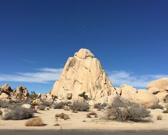 Huge Views in North Joshua Tree w/ Outdoor Bathtub & Shower - Joshua Tree - Building