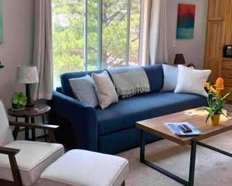 Villa On The Boulevard - Carbondale - Soggiorno