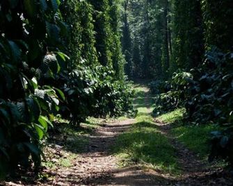 Heights Farm Stay - Coffee Estate Stay - Madikeri - Buiten zicht