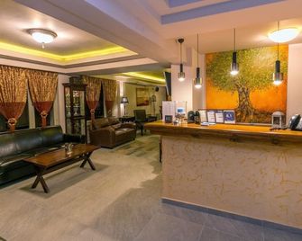 Thalassies - Limenaria - Recepción