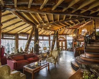 Huilo Huilo Montaña Magica - Neltume - Lounge