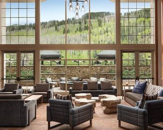 The Ritz Carlton Club 3 Bedroom Mountain View Apartment - Vail - Lounge