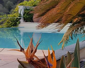 Tenuta Agriturismo Il Risveglio - Imperia - Pool