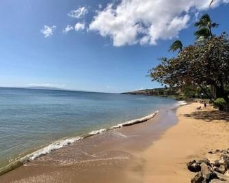 Stunning Oceanview Fully Remodeled Gem 2b/2b - Makawao - Beach
