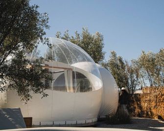 Campera Valle de Guadalupe - Ensenada