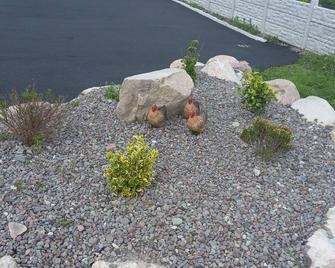 Country Cottage Apartment, Valentia Island, Kerry - Valentia Island