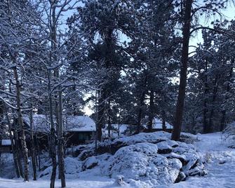 Charming Updated Rustic Studio. Excellent Location Close To Town & Rmnp! - Estes Park - Outdoor view