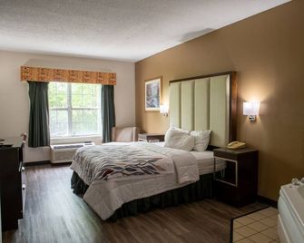 Blisspoint Inn & Suites Marion - Marion - Habitación
