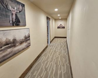 Luxury Studio Suite Downtown - Miles City - Gang