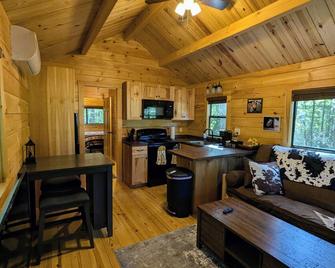 Glamping at Tiny House!\nPerfect Romantic Cabin Getaway on Horse Farm - Clayton - Kitchen
