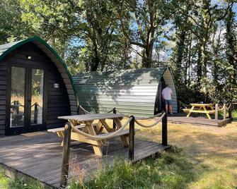 Nightjar Cabin at Cloudshill Glade - Wareham - Patio