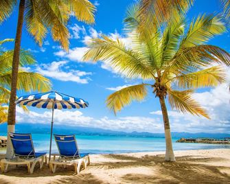 Canella Beach Hotel - Le Gosier - Playa