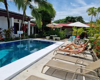 Wide Mouth Frog - Quepos - Piscina