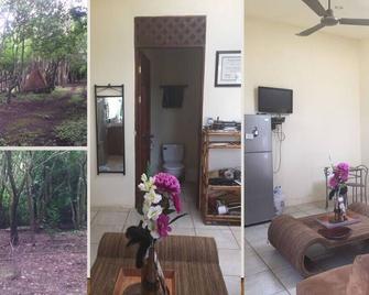 A Double Bed Apt, At The Foothills Of The Majestic Miravalles Can Sleep 2, Comfy - Fortuna - Sala de estar