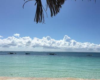 Mount Zion Lodge - Michamvi - Beach