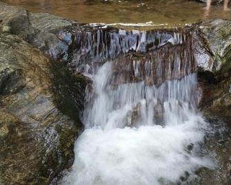Beach Site With Waterfalls - São Sebastião - Outdoors view