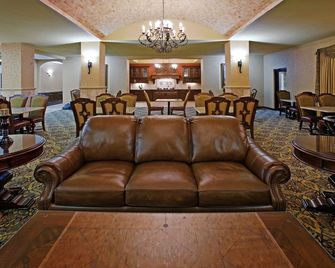 Comfort Suites Alamo/River Walk - San Antonio - Lounge