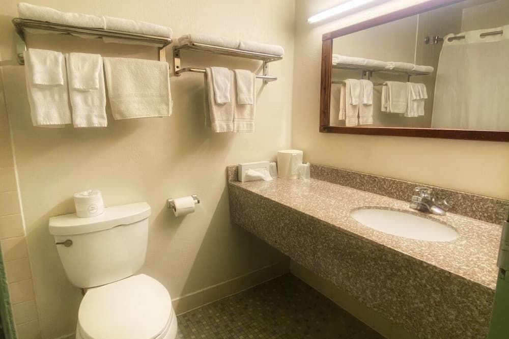 Galesburg Extended Stay - Galesburg - Bad