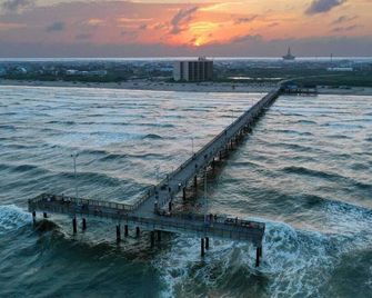 Private Yard, Shared Pool Near the Beach Bluetique Hotel by Avantstay - Port Aransas - Udsigt