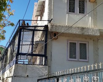 Flyer Exotica - Shimla