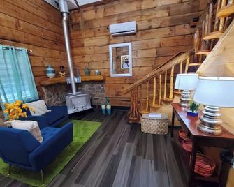 The Outdoor Oasis You Get 685 Attraction - Kodak - Living room