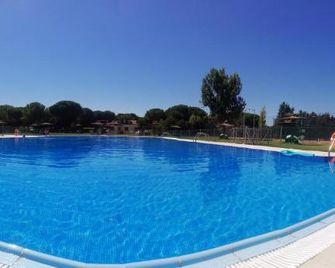 La Dama Boba - Olmedo - Pool