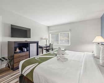 Quality Inn and Suites Tampa-Ybor City - Tampa - Bedroom