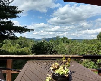 off-the-grid tiny house cabin AND yurt in Livingston Manor, NY - Parksville - Balcony