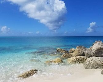 Waterfront King Suite at Bimini Cove Resort & Marina – Ground Floor, Marina View - Port Royal - Beach