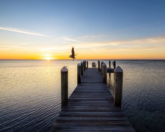 Pines & Palms Resort - Islamorada