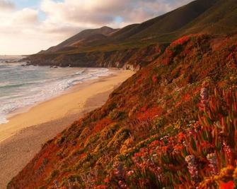 Monterey House with Sunroom full kitchen, WiFi, cable and happiness - Monterrey - Playa