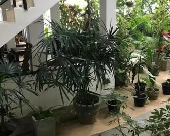 Unawatuna Beach Bungalow - - Unawatuna