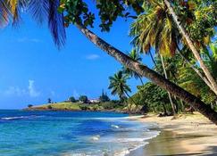 Sunny Palm Villas - Laborie - Beach