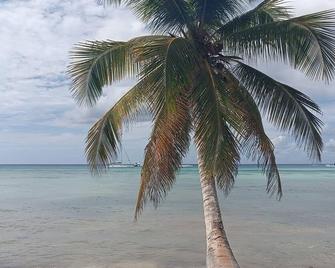 Beautiful beach 1st floor Condo near to the pool and 500 ft from Bayahibe beach - La Romana