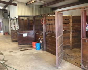 7 min from Stephenville. 2-2 Lodging with horse accommodations. Stalls, Turnouts - Dublin