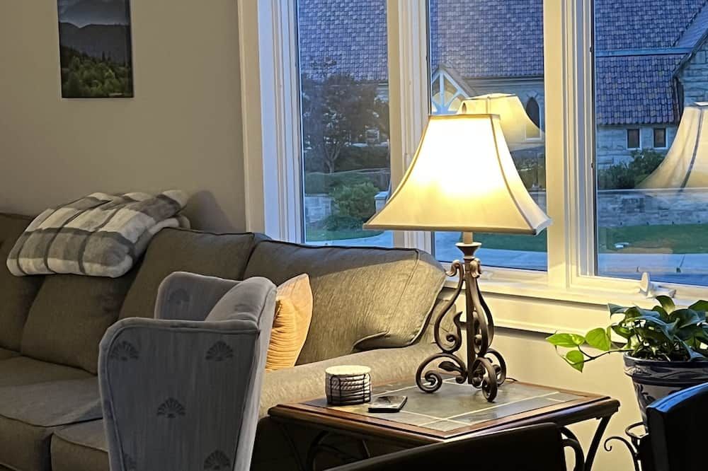 Unbelievable penthouse-style apartment in the heart of Elkins, WV. - Elkins - Wohnzimmer