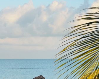 Secret Beach Cabanas - San Pedro Town - Beach