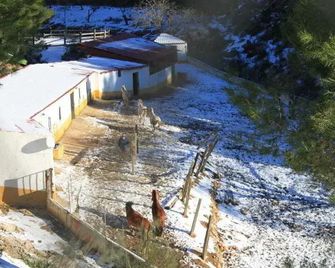 Vega Sierra Hotel Spa & Casas Rurales - Las Casas de Haches - Vista del exterior